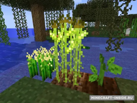 Complex Crops