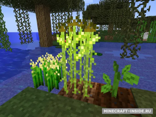 Complex Crops — Minecraft mod, rasm 1