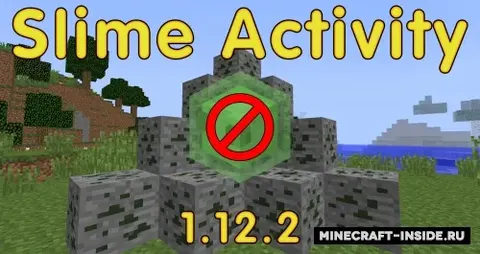 Slime Activity