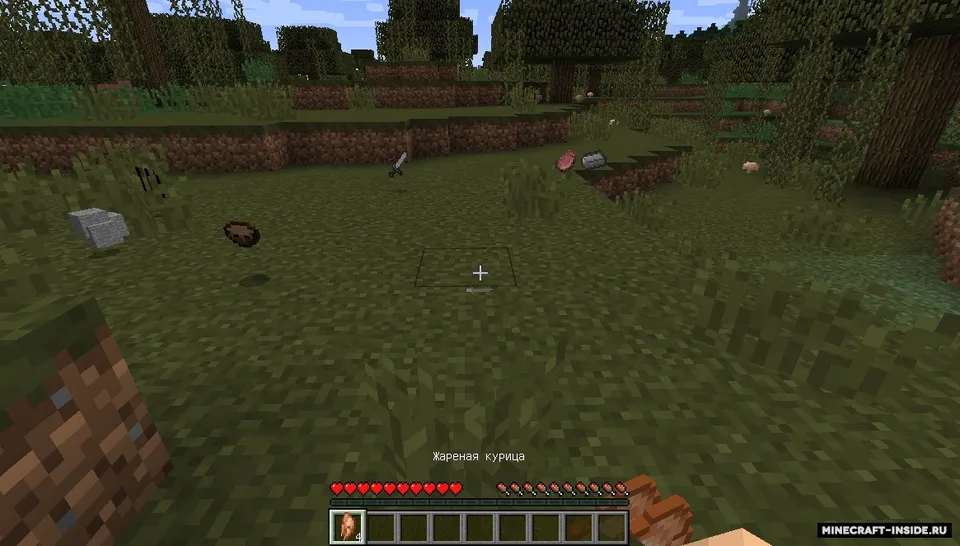 Deathless World — Minecraft mod, rasm 5