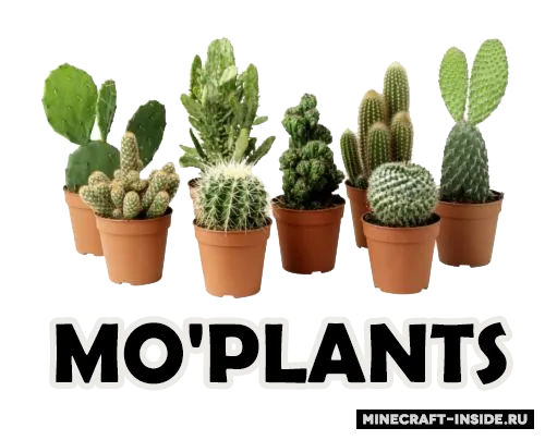 Mo'plants — Minecraft mod, rasm 1