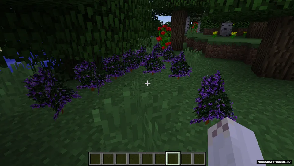 Mo'plants — Minecraft mod, rasm 3