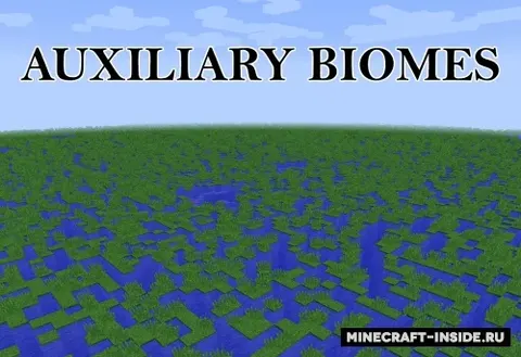 Auxiliary Biomes
