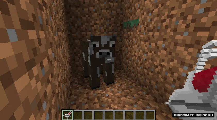 The Fifth World — Minecraft mod, rasm 5