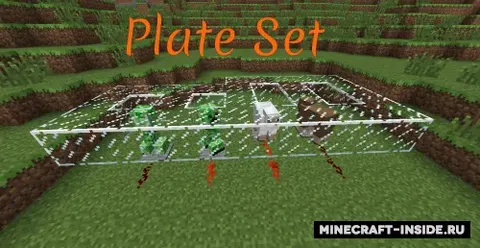 Plate Set
