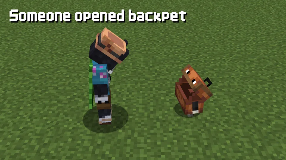 Backpets — Minecraft mod, rasm 3