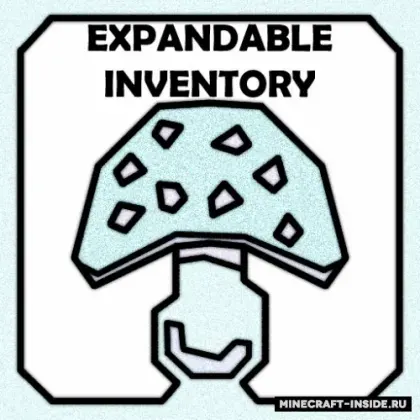 Expandable Inventory