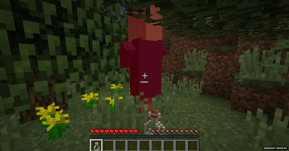 Opposite Dimensions — Minecraft mod, rasm 4