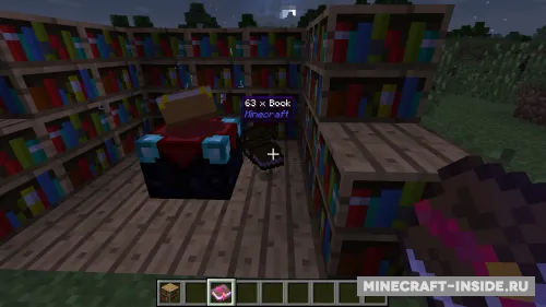 World Tooltips — Minecraft mod, rasm 1