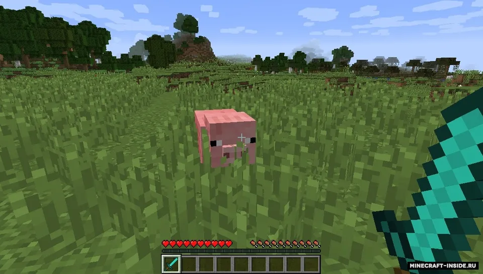 RPGLoot — Minecraft mod, rasm 2