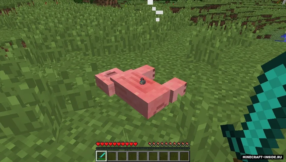RPGLoot — Minecraft mod, rasm 3