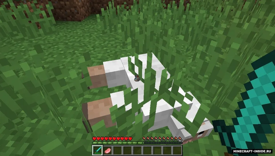 RPGLoot — Minecraft mod, rasm 5