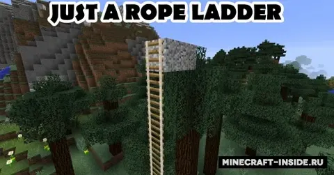 Just A Rope Ladder
