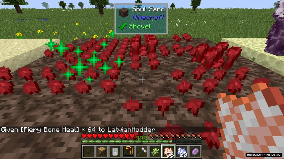Bone Appetit — Minecraft mod, rasm 3