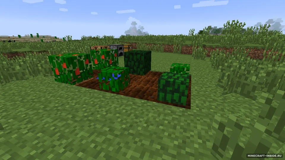 Coffee And Tea — Minecraft mod, rasm 4