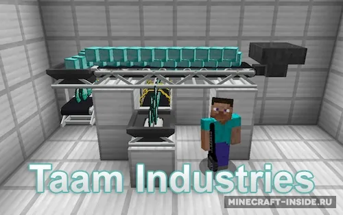 Taam — Minecraft mod, rasm 1
