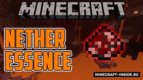 Nether Essence
