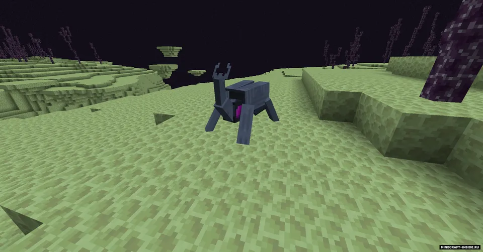 Eetles Reborn — Minecraft mod, rasm 4