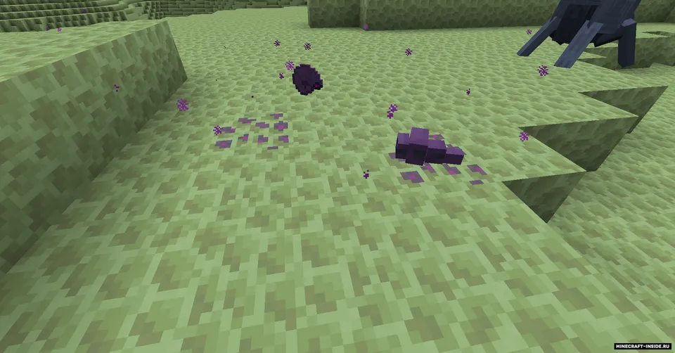 Eetles Reborn — Minecraft mod, rasm 5