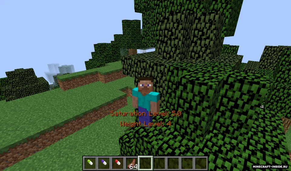 The Fat — Minecraft mod, rasm 1