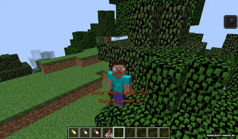 The Fat — Minecraft mod, rasm 2