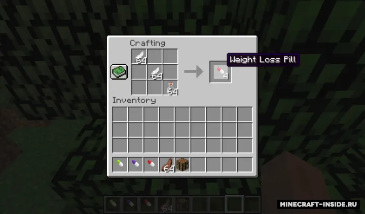 The Fat — Minecraft mod, rasm 6