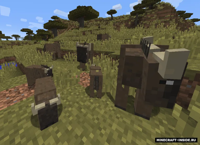 Story of Life — Minecraft mod, rasm 2