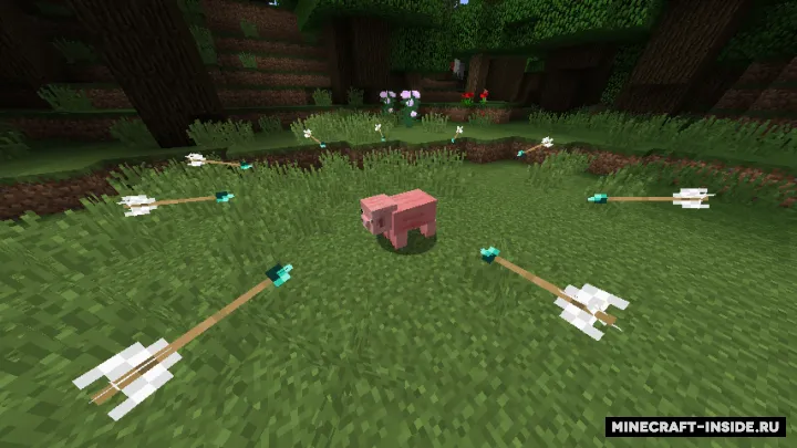 Time Arrow — Minecraft mod, rasm 2