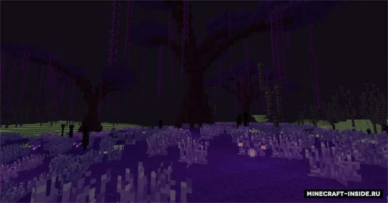 Stygian End: Biome Expansion — Minecraft mod, rasm 4