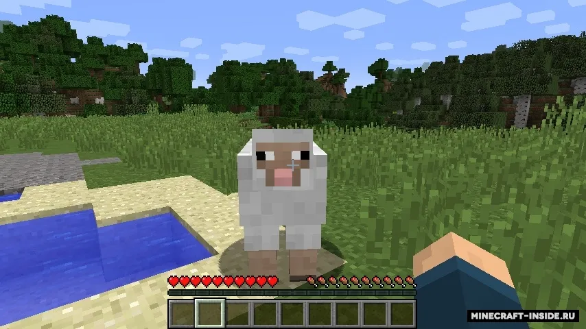 Punch Wool Off Sheep — Minecraft mod, rasm 2