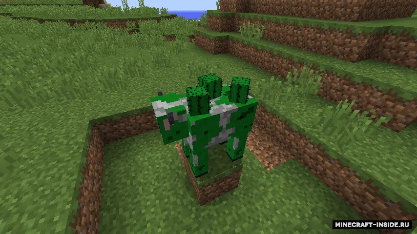 The Cactus — Minecraft mod, rasm 4