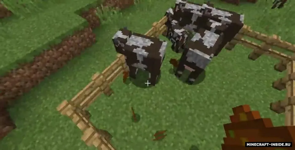 Seeds Hidden in Things — Minecraft mod, rasm 2