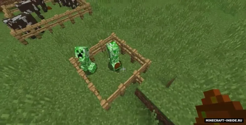Seeds Hidden in Things — Minecraft mod, rasm 3