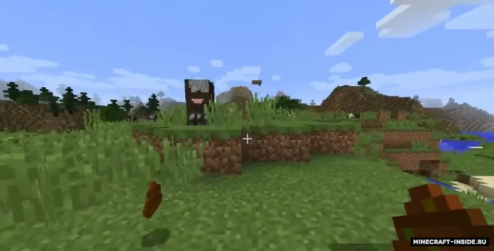 Seeds Hidden in Things — Minecraft mod, rasm 5