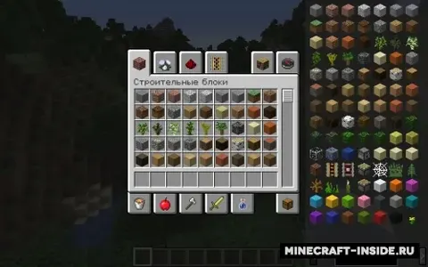 Almost Enough Items