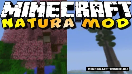 Natura — Minecraft mod, rasm 1