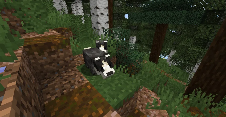 Biodiverse — Minecraft mod, rasm 4