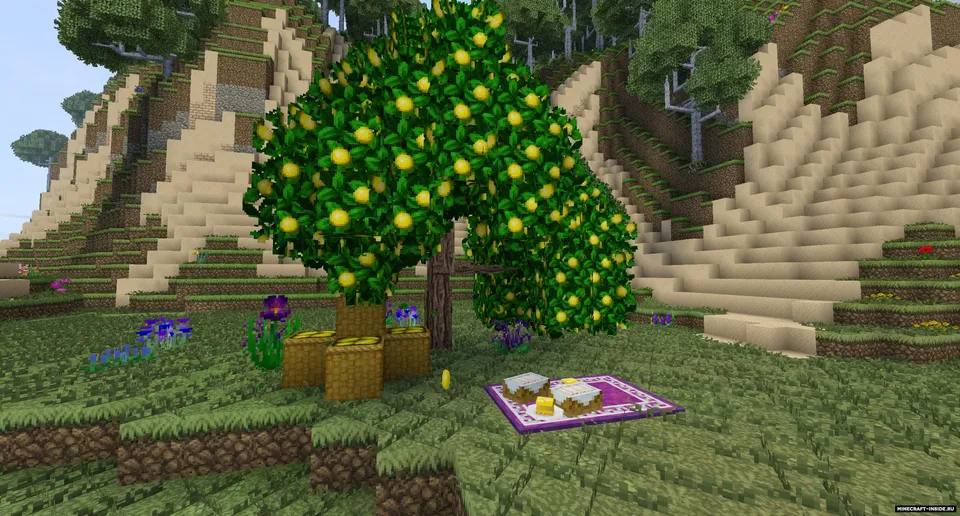Dynamic Trees - Heat and Climate Compat — Minecraft mod, rasm 2