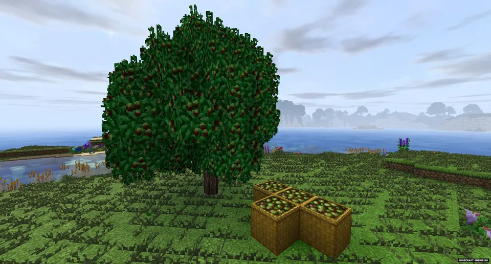 Dynamic Trees - Heat and Climate Compat — Minecraft mod, rasm 4