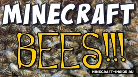 More Bees