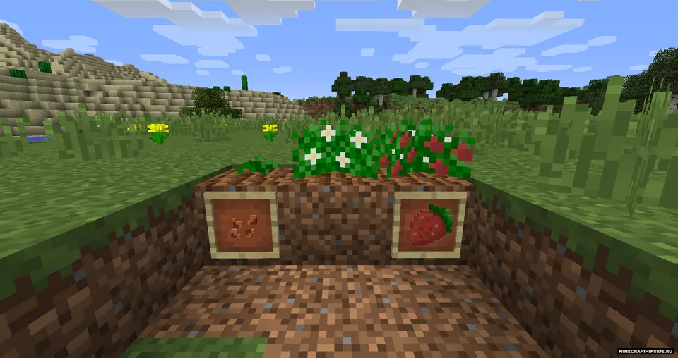 Pam's Simply Strawberries — Minecraft mod, rasm 3