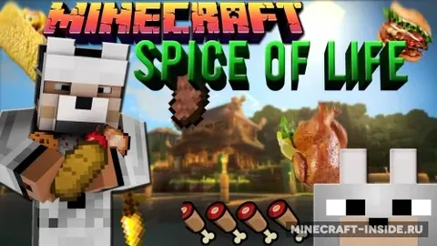 The Spice of Life