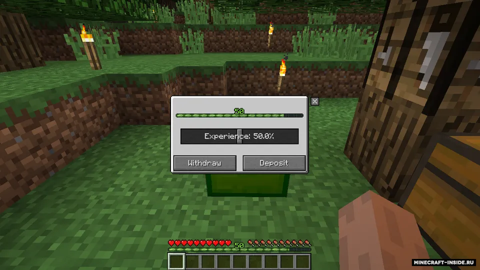 XP Holder — Minecraft mod, rasm 2