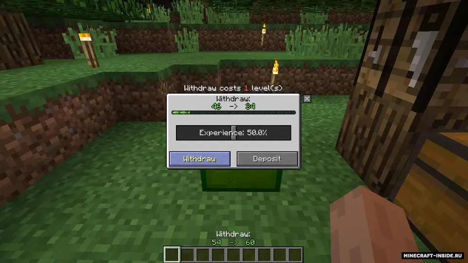 XP Holder — Minecraft mod, rasm 3