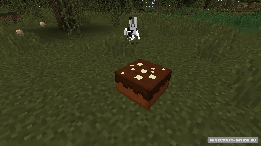 ZeiyoCraft — Minecraft mod, rasm 8
