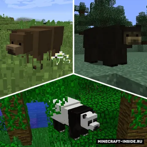 Bear With Me