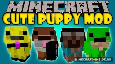 Cute Puppy