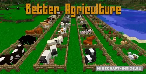 Better Agriculture