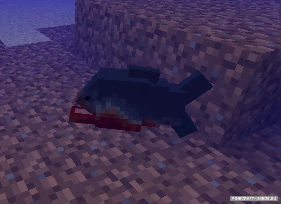 Shipwrecks — Minecraft mod, rasm 7