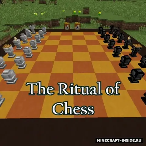 The Ritual of Chess